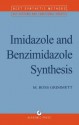 Imidazole and Benzimidazole Synthesis - M R Grimmett, Alan R. Katritzky