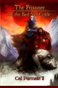 The Prisoner of the Red Sun Castle (The Red Sun Saga) (Volume 1) - Cal Parmain II, Carlos Cara