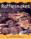 Desert Animals: Rattlesnakes (Pebble Books) - Emily Rose Townsend