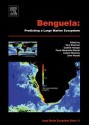 Benguela: Predicting a Large Marine Ecosystem: Predicting a Large Marine Ecosystem - Vere Shannon, Gotthilf Hempel, Coleen Moloney