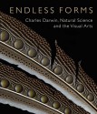 Endless Forms: Charles Darwin, Natural Science, and the Visual Arts - Diana Donald, Jane Munro, Fitzwillian Museum Cambridge