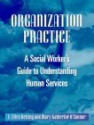 Organization Practice: A Social Worker's Guide to Understanding Human Services - F. Ellen Netting, Mary Katherine O'Connor