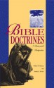 Bible Doctrines: A Pentecostal Perspective - William W. Menzies, Stanley M. Horton