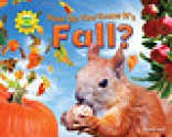 How Do You Know It S Fall? - Ruth Owen