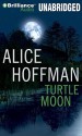 Turtle Moon - Alice Hoffman, Sandra Burr