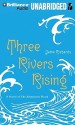 Three Rivers Rising: A Novel of the Johnstown Flood - Jame Richards