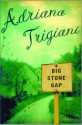 Big Stone Gap (Big Stone Gap, Book 1) - Adriana Trigiani