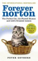 Forever Norton: The Perfect Cat, his Flawed Human and Life's Greatest Lesson - Peter Gethers