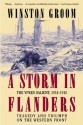 A Storm in Flanders: The Ypres Salient, 1914-1918: Tragedy and Triumph on the Western Front - Winston Groom