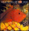 Splendors of the Seas - Norbert Wu