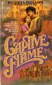 Captive flame - Patricia Phillips