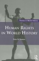 Human Rights in World History (Themes in World History) - Peter N. Stearns