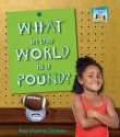 What in the World Is a Pound? - Mary Elizabeth Salzmann