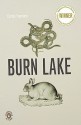 Burn Lake - Carrie Fountain