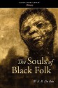 The Souls of Black Folk - W.E.B. Du Bois