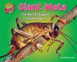 Giant Weta: The World's Biggest Grasshopper - Natalie Lunis