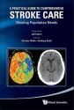 A Practical Guide to Comprehensive Stroke Care: Meeting Population Needs - Lalit Kalra, Charles Wolfe, Anthony Rudd