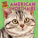 American Shorthairs - Gini Holland