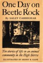 One Day On Beetle Rock - Sally Carrighar