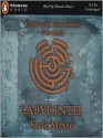 Labyrinth - Kate Mosse, Donada Peters