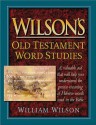 Wilson's Old Testament Word Studies - William Wilson