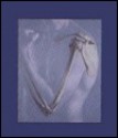 Human Anatomy - Frederic H. Martini, Michael J. Timmons, Kathleen Welch