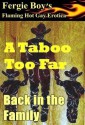 A Taboo Too Far (Keep it in the Family #3) - Fergie Boy