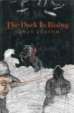 The Dark Is Rising (The Dark Is Rising, #2) - Susan Cooper, Alan E. Cober