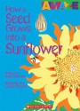 How a Seed Grows Into a Sunflower - David Stewart