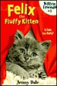 Felix the Fluffy Kitten - Jenny Dale