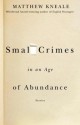 Small Crimes in an Age of Abundance - Matthew Kneale