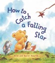 How to Catch a Falling Star - Heidi Howarth, Daniel Howarth