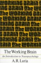 The Working Brain: An Introduction To Neuropsychology - Alexander R. Luria