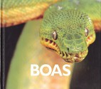 Boas - Mary Ann McDonald