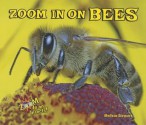 Zoom in on Bees - Melissa Stewart