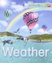 Weather (Explorers Series) - Deborah Chancellor, Steven Savage, Peter Bull