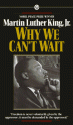 Why We Can't Wait - Martin Luther King Jr.