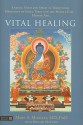 Vital Healing: Energy, Mind & Spirit in Traditional Medicines of India, Tibet and the Middle East - Middle Asia - Marc S. Micozzi, Donald McCown