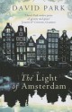 The Light of Amsterdam - David Park