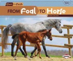 From Foal to Horse - Robin Nelson