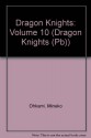 Dragon Knights, Volume 10 - Mineko Ohkami