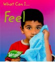 What Can I... Feel - Sue Barraclough