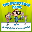 Children Book : The Knowledge Gang - How Does Dolphins Communicate (Great Book for Kids) (Age's 5 - 9) - Mary Miller, Children Book, Kids Books, Picture books