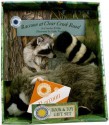 Raccoon at Clear Creek Road [With Stuffed Raccoon] - Carolyn B. Otto, Cathy Trachok