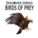 Birds of Prey: Discover Series Picture Book for Children - Xist Publishing