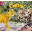 Cats - Claire Llewellyn