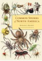 Common Spiders of North America - Richard A. Bradley, Steve Buchanan