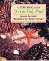 Exploring an Ocean Tide Pool - Jeanne Bendick, Todd Telander