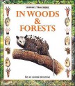 In Woods & Forests - Tessa Paul