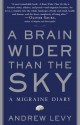 A Brain Wider Than the Sky: A Migraine Diary - Andrew Levy